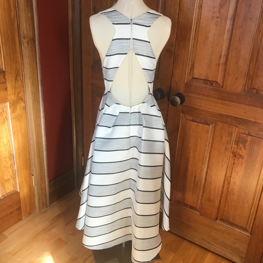 HOST PICK! NWOT. Gray/ White Dress - Picture 5 of 16